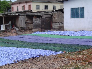 Drying Cloth